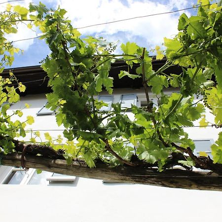 Weingut Pardellerhof Villa Marlengo Exterior photo