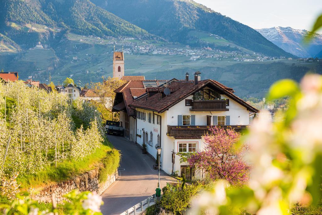 Weingut Pardellerhof Villa Marlengo Exterior photo